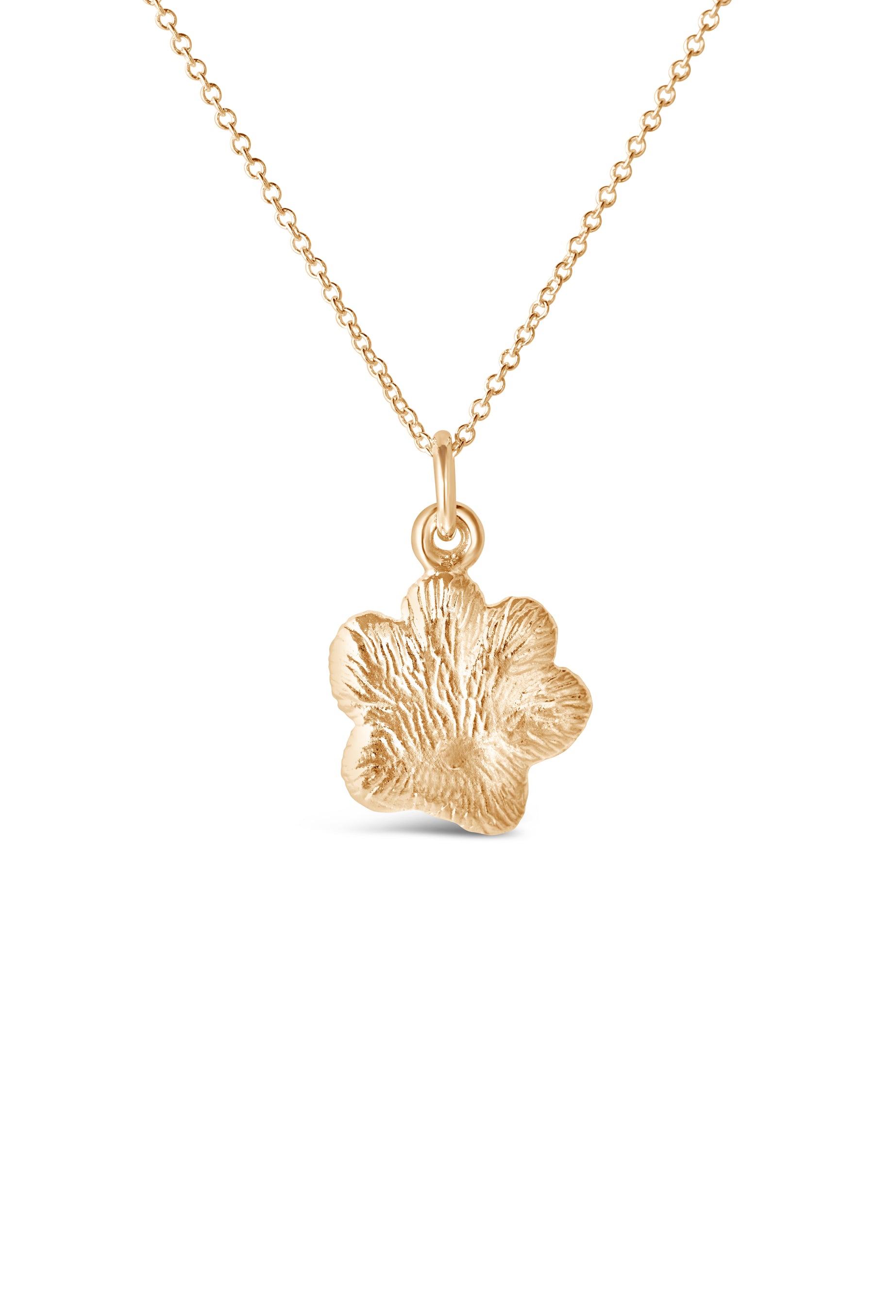Icons ~ Paw Print Pendant in Gold