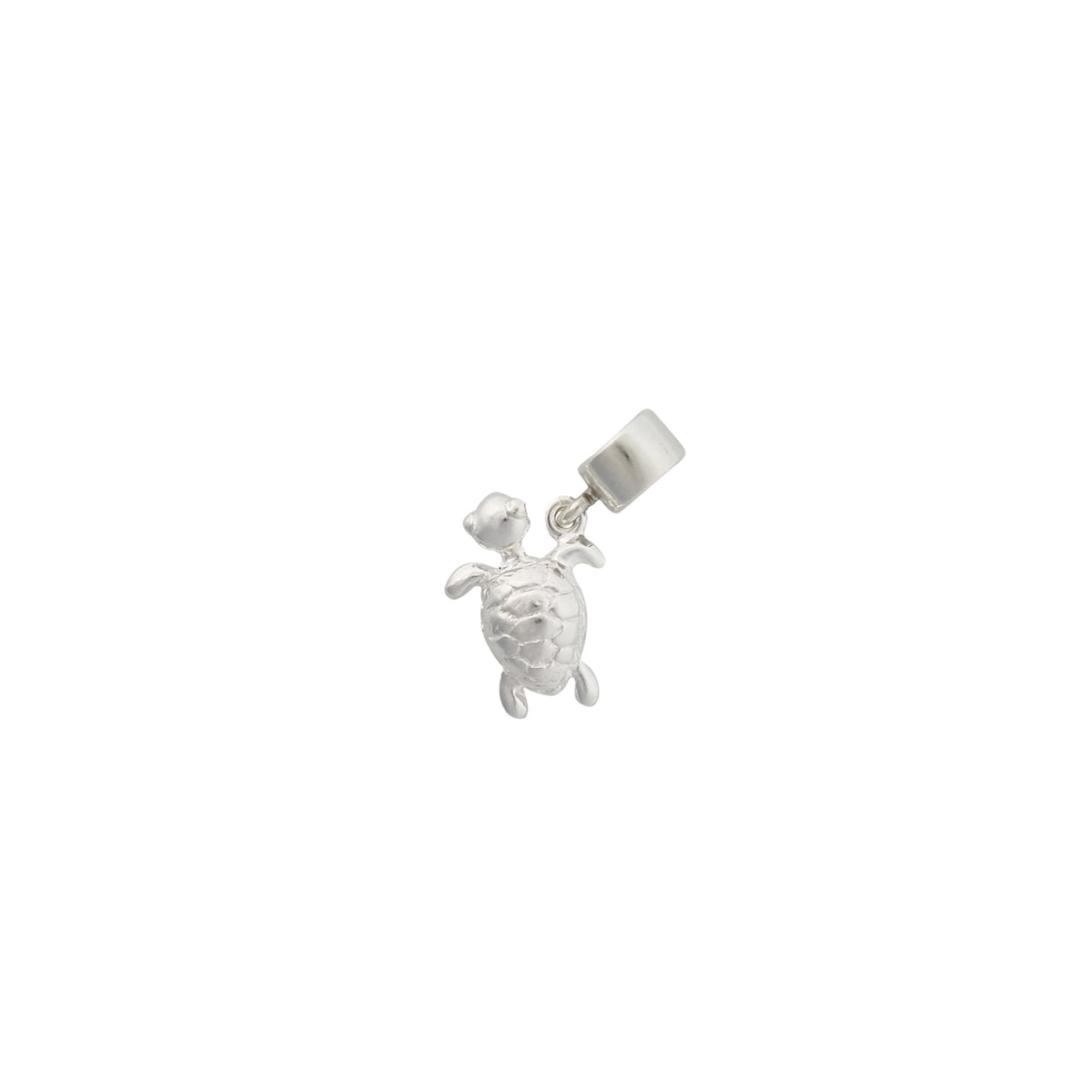 Friends ~ Turtle (Small) Charm