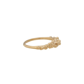 Caviar ~ Half Texture Ring in Gold - Alexandra Mosher Studio Jewellery Bermuda Fine