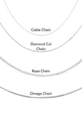 Splash ~ Rare Bermuda Shell 2014 Ornament / Pendant