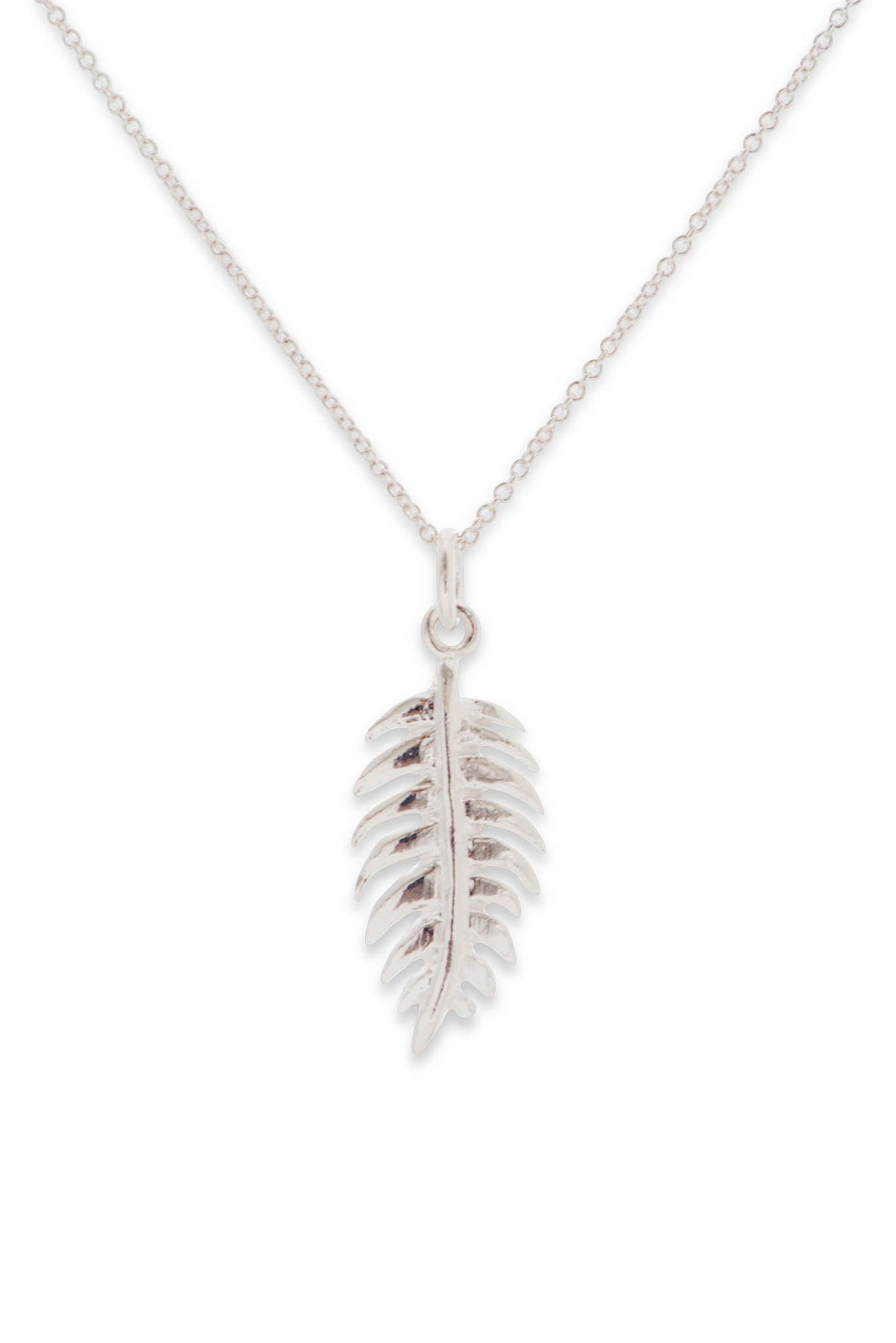 Flora ~ Palm Frond (Small) Pendant - Alexandra Mosher Studio Jewellery Bermuda Fine