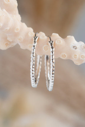Hoops ~ Caviar Large