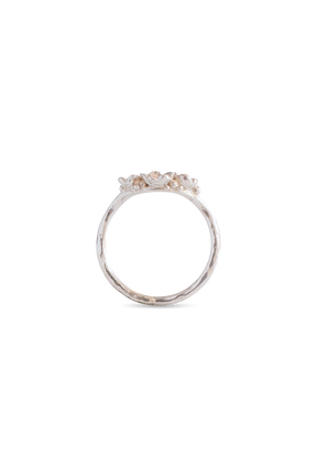 Barnacle Bands ~ Three Arc Gold Ring