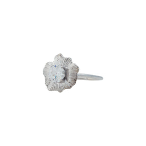 Bermuda Textures | Gold Shell Engagement Ring - Alexandra Mosher Studio Jewellery Bermuda Fine