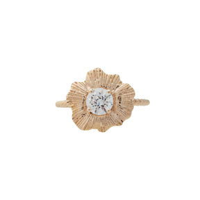 Bermuda Textures | Gold Shell Engagement Ring - Alexandra Mosher Studio Jewellery Bermuda Fine