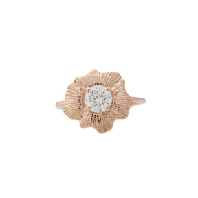 Bermuda Textures | Gold Shell Engagement Ring - Alexandra Mosher Studio Jewellery Bermuda Fine