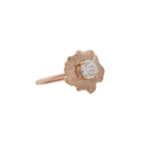 Bermuda Textures | Gold Shell Engagement Ring - Alexandra Mosher Studio Jewellery Bermuda Fine