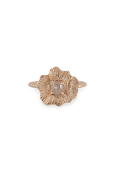One of a Kind ~ Round Starburst Shell Ring in Yellow Gold - Alexandra Mosher Studio Jewellery Bermuda Fine