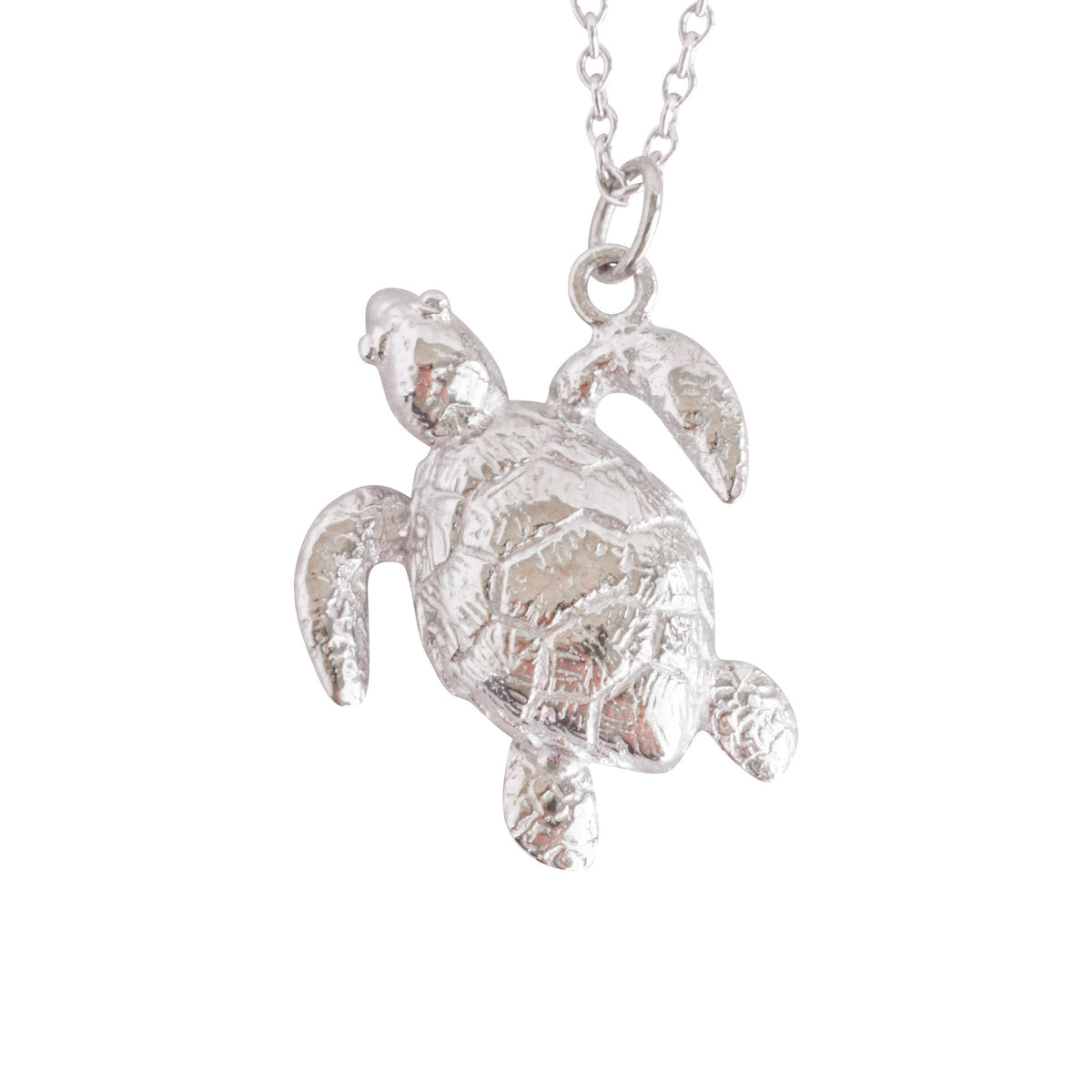 Friends ~ Turtle (Medium) Pendant - Alexandra Mosher Studio Jewellery Bermuda Fine
