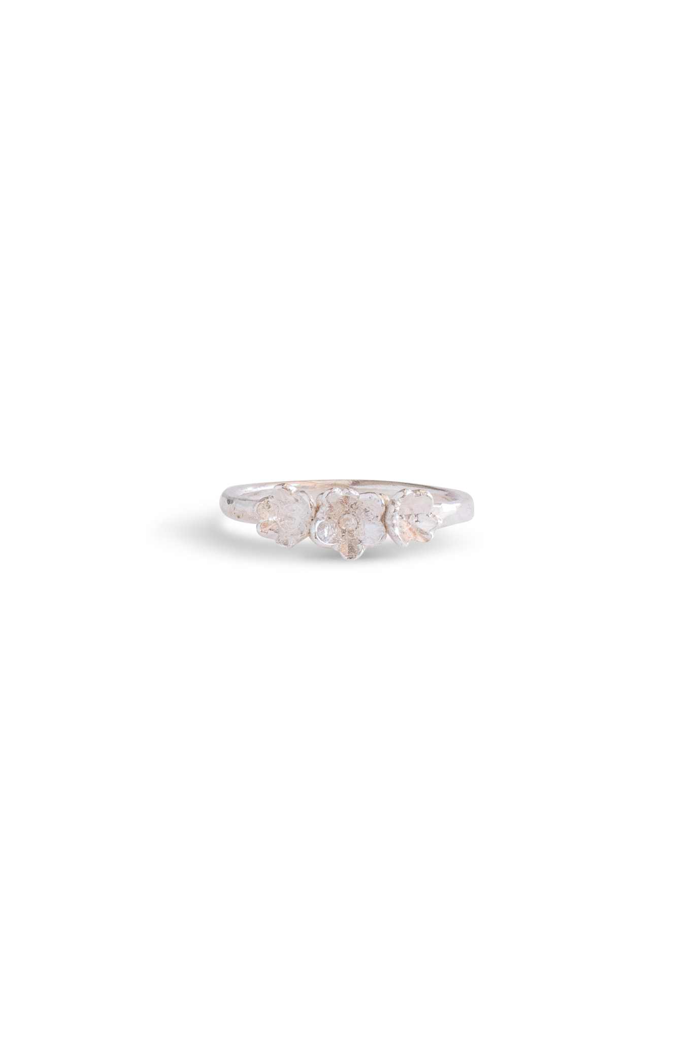 Barnacle Bands ~ Straight Gold Ring