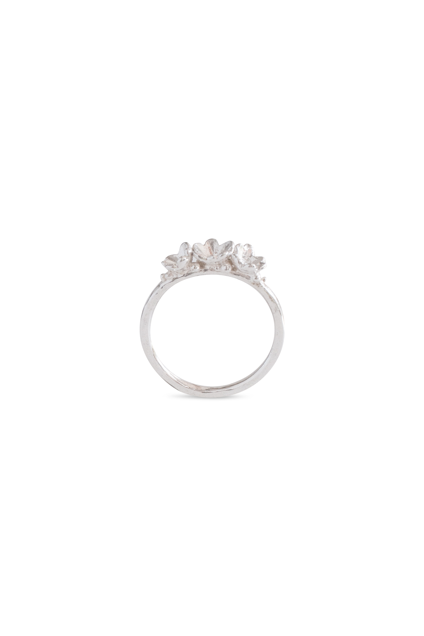 Barnacle Bands ~ Straight Gold Ring
